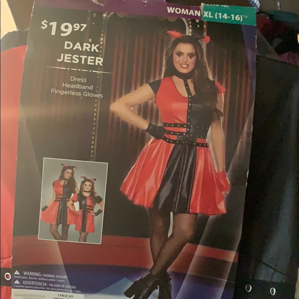 **SOLD** Women’s Dark Jester Costume